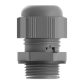gray_vent_gland